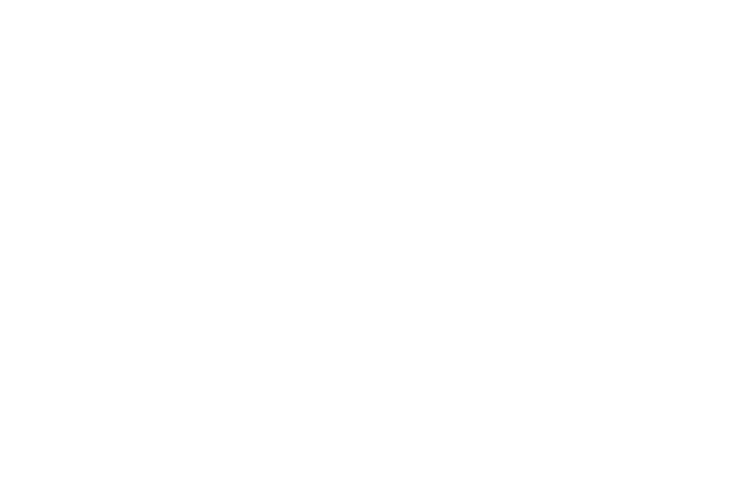 Loose Reins Logo