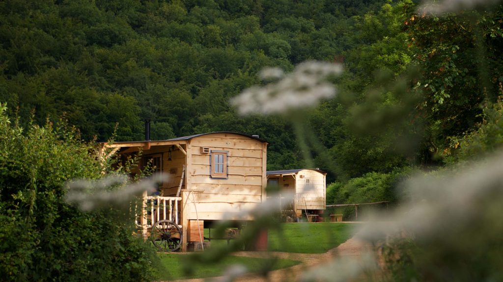 Two of Loose Reins' cabins at sunset with a lush woodland in the background