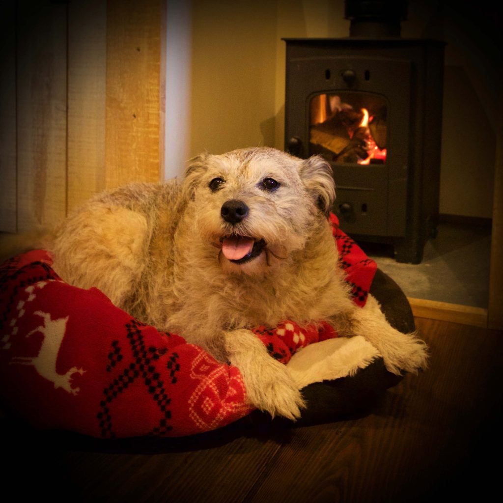 A dog lying in front of the wood burner inside one of Loose Reins Lodges