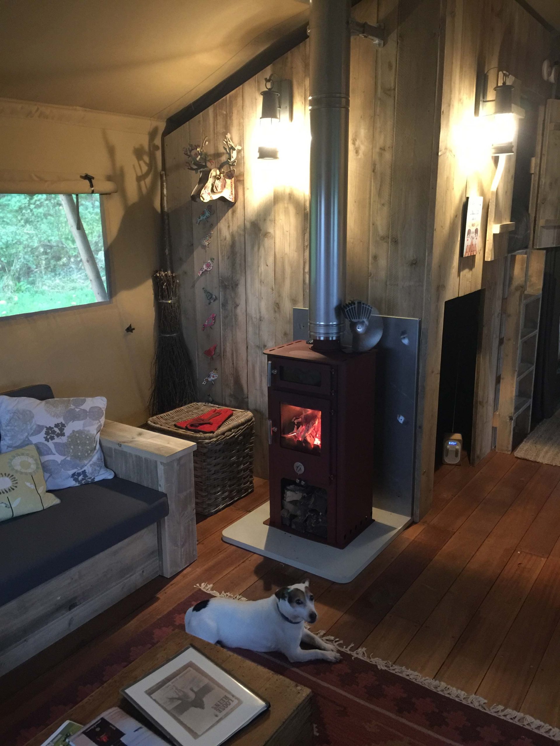 A dog curled up in front of the wood-burner in the lounge area inside one of Loose Reins' lodges