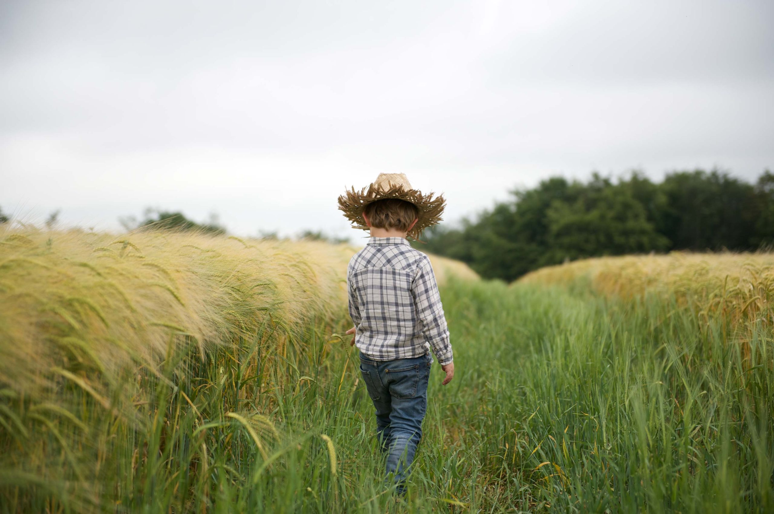 A young boy in a hat walking through a field by Loose Reins
