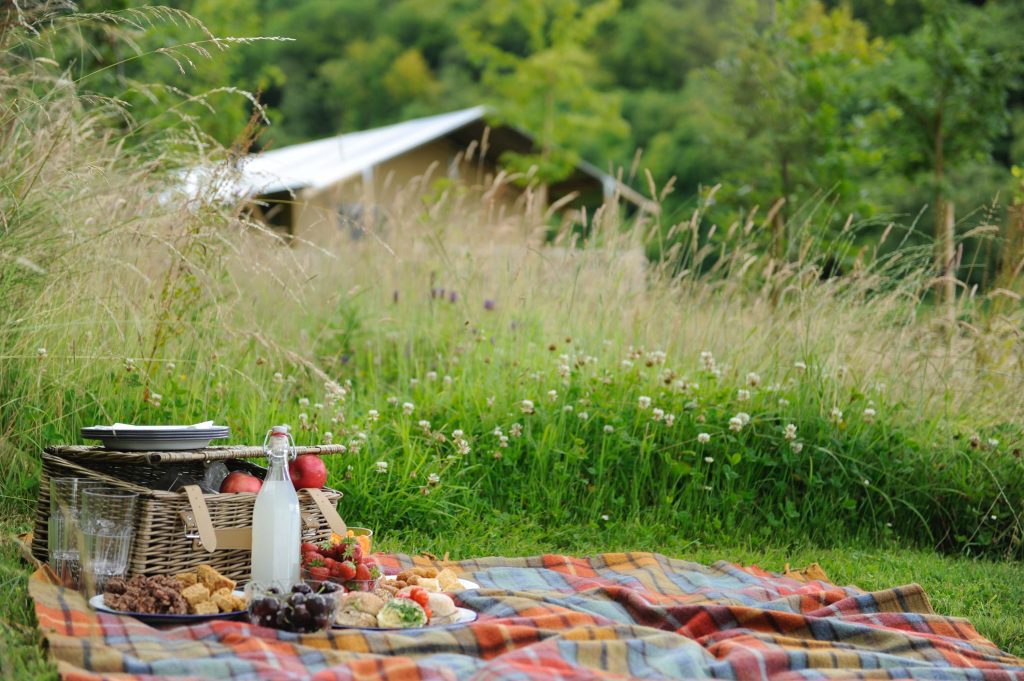 A picnic blanket and food set up in the tall grass in front of one of the lodges at Loose Reins