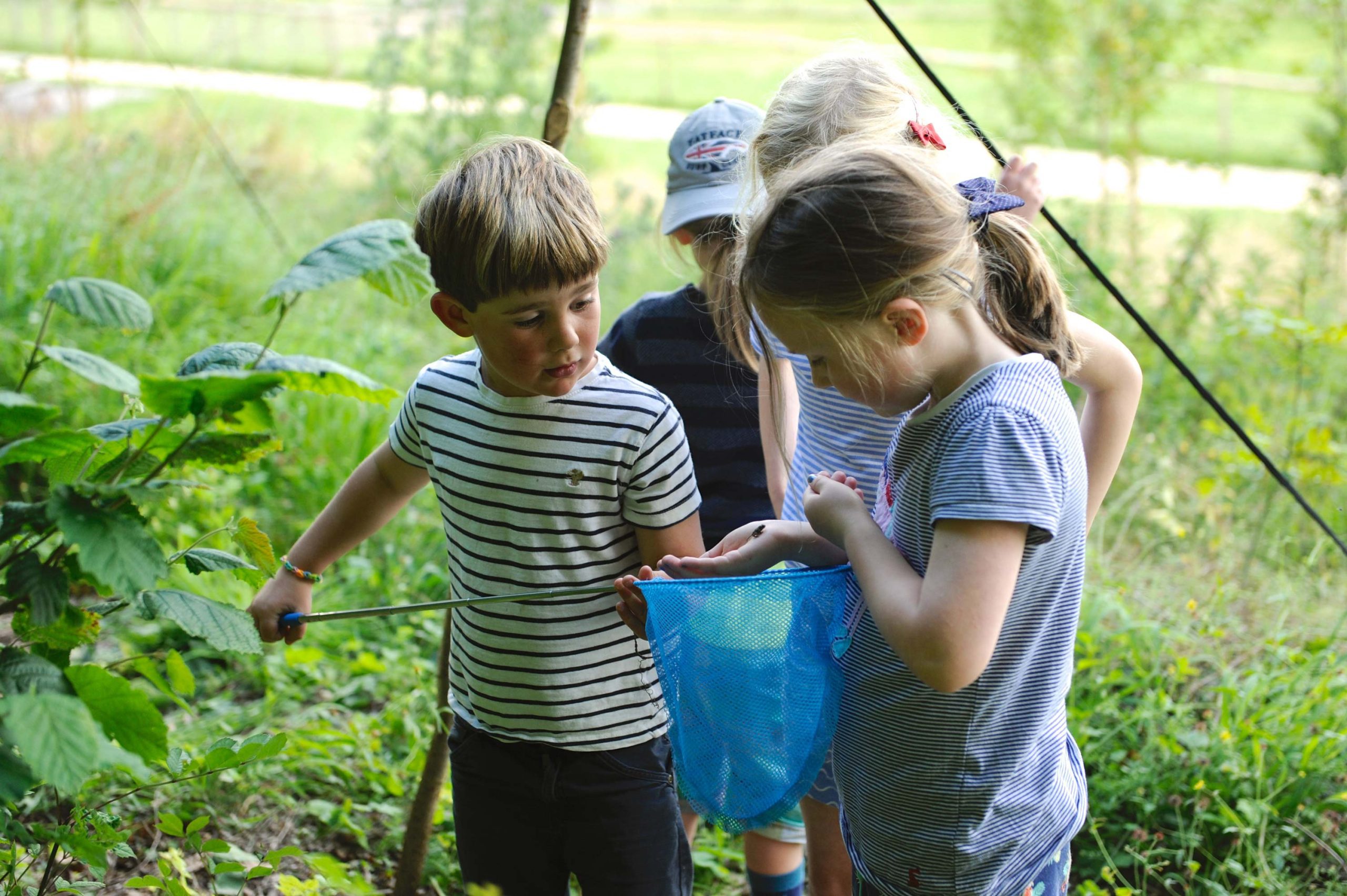 A group of children discovering insects with butterfly nets in the wild areas of Loose Reins