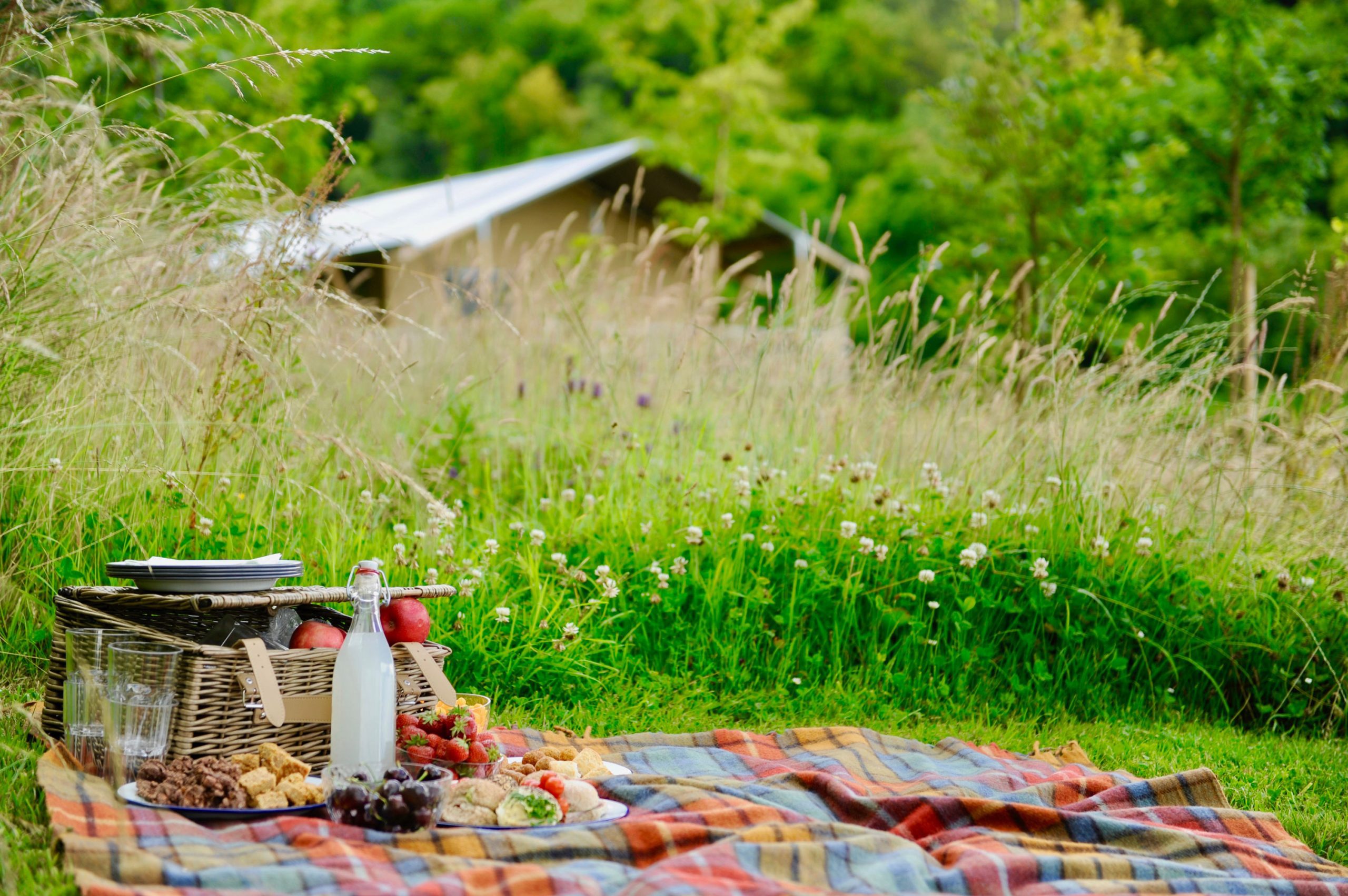 Picnic blanket and hamper laid out in field with glamping lodge in background