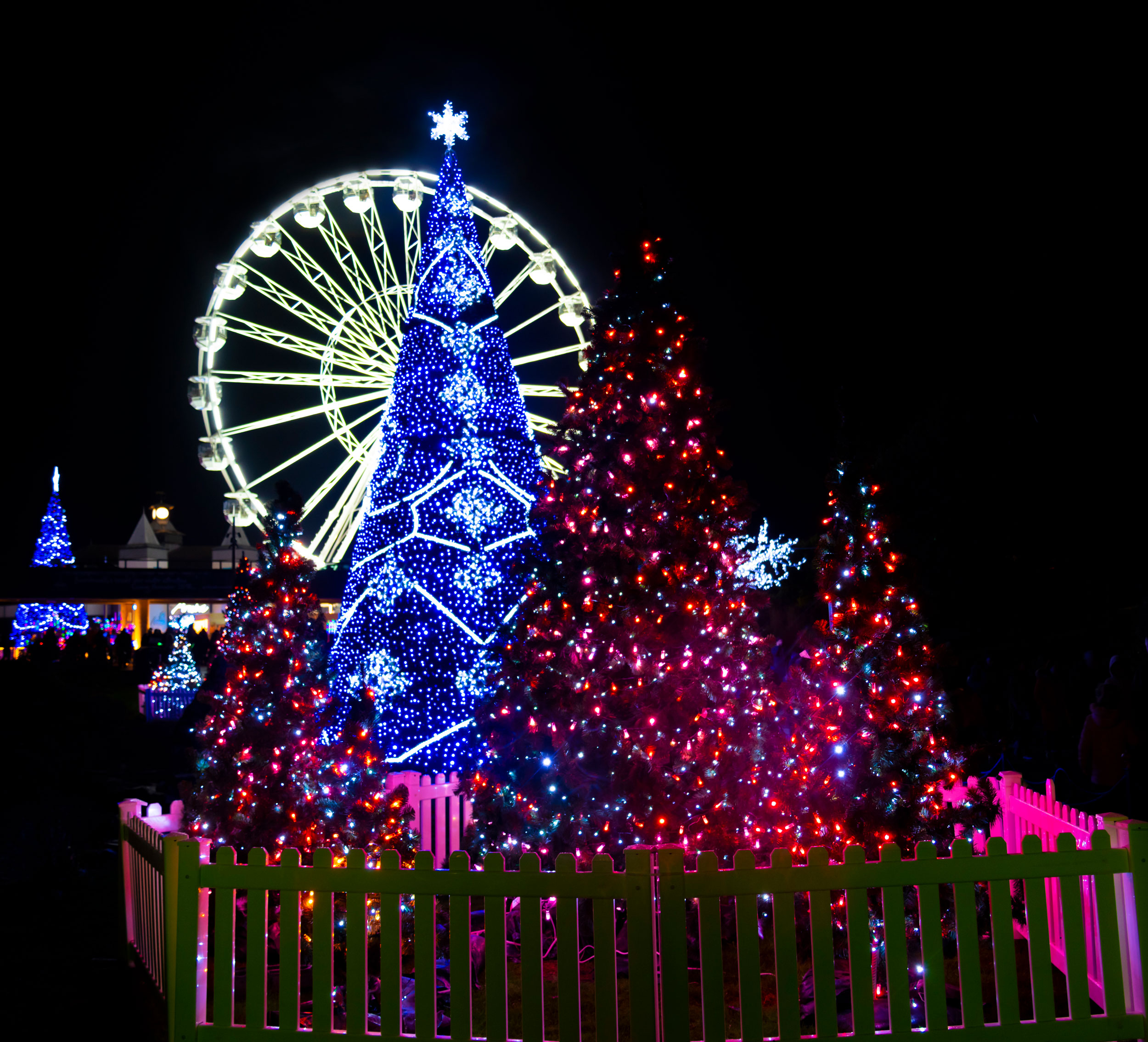 Dozens of illuminated Christmas trees line the streets and parks of Bournemouth