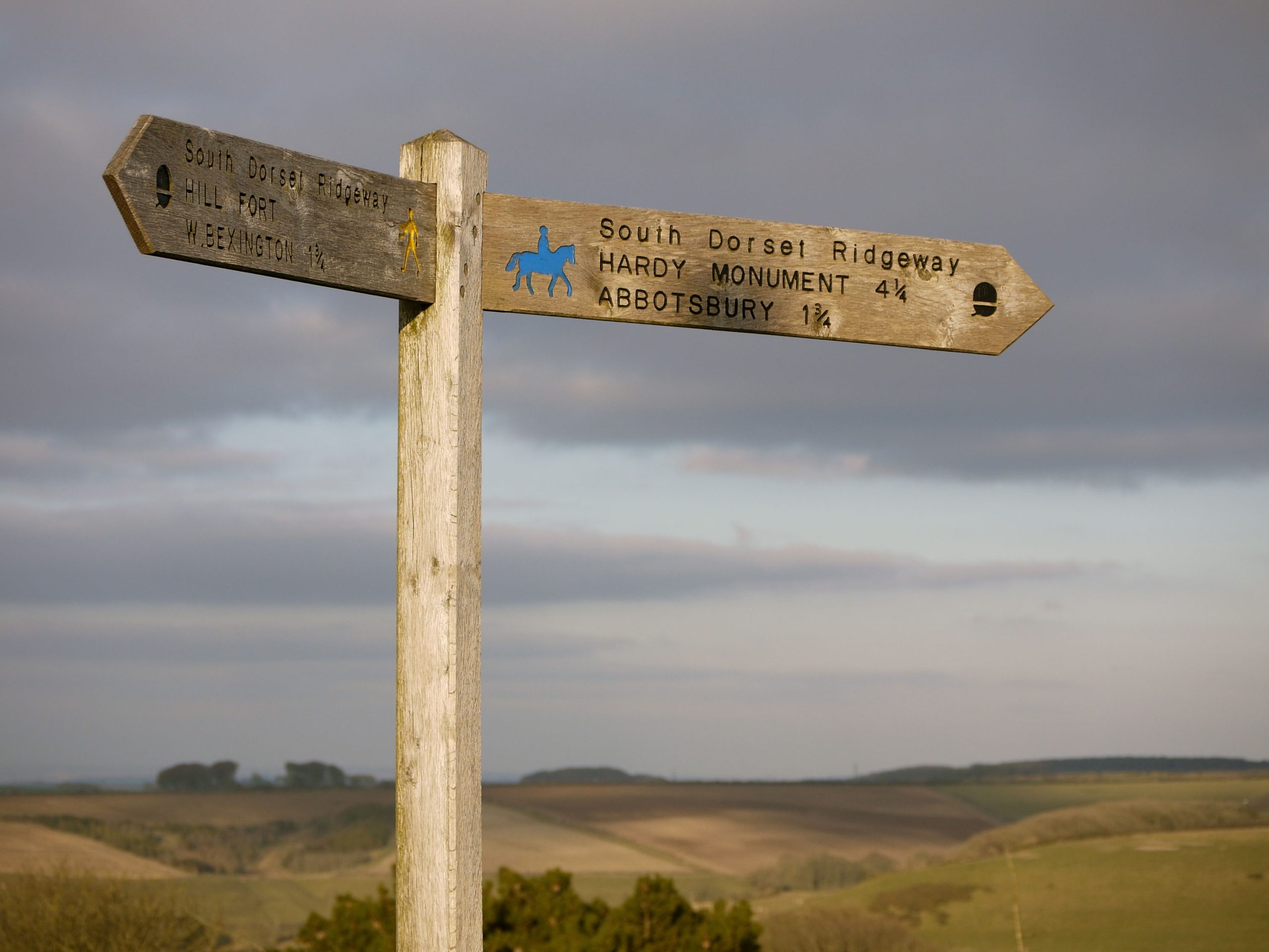 Wooden signpost South Dorset Ridgeway footpath Abbotsbury Hill, Dorse