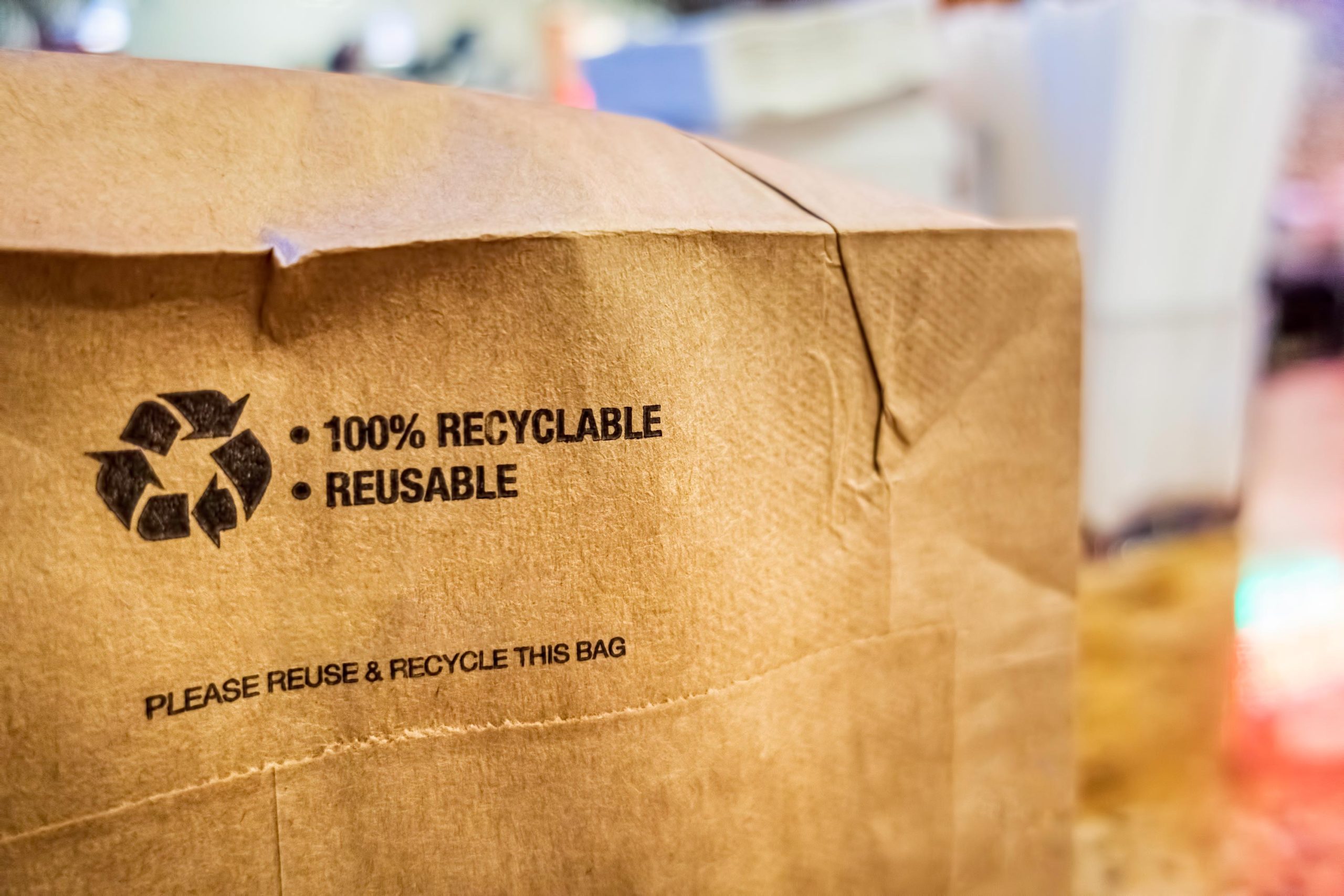 rown paper bag that is 100% recyclable and reusable