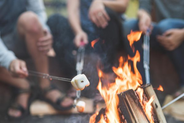 Close-up shot of a campfire with four metal skewers roasting marshmallows on a summer evening.