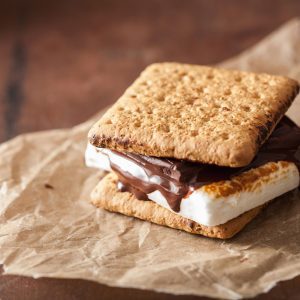 Close up of a s'more