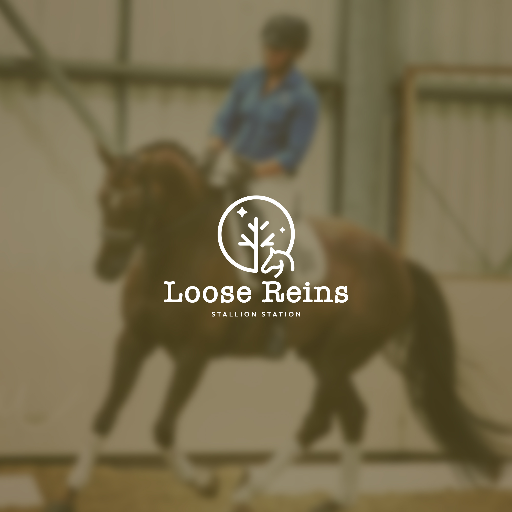 Loose Reins Stallion Station Logo